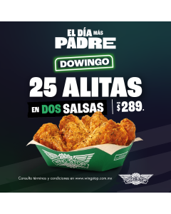 Dowingo 25 pzas Mixto